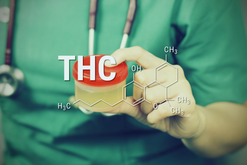 Three harmless ways to detoxify your body from THC metabolites ...